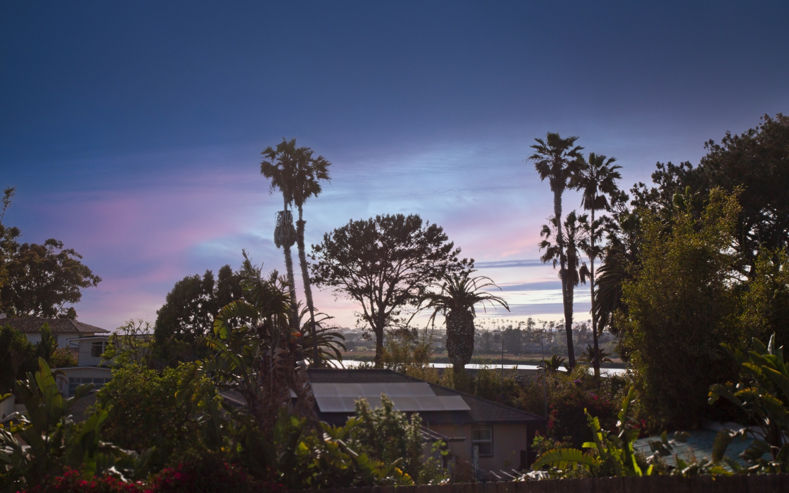 2585 Jefferson St. , Carlsbad, CA 92008 2585 Jefferson St. , Carlsbad, CA 92008