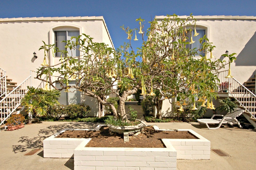 3160 Lincoln, Carlsbad, CA 92008 3160 Lincoln, Carlsbad, CA 92008