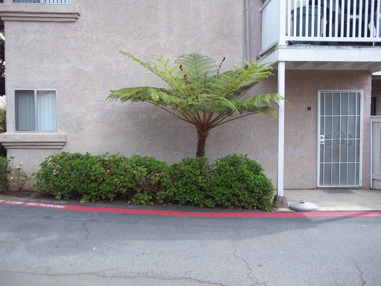 3515-3527-3539-3551-3563 Roosevelt St. , Carlsbad, CA 92008 3515-3527-3539-3551-3563 Roosevelt St. , Carlsbad, CA 92008