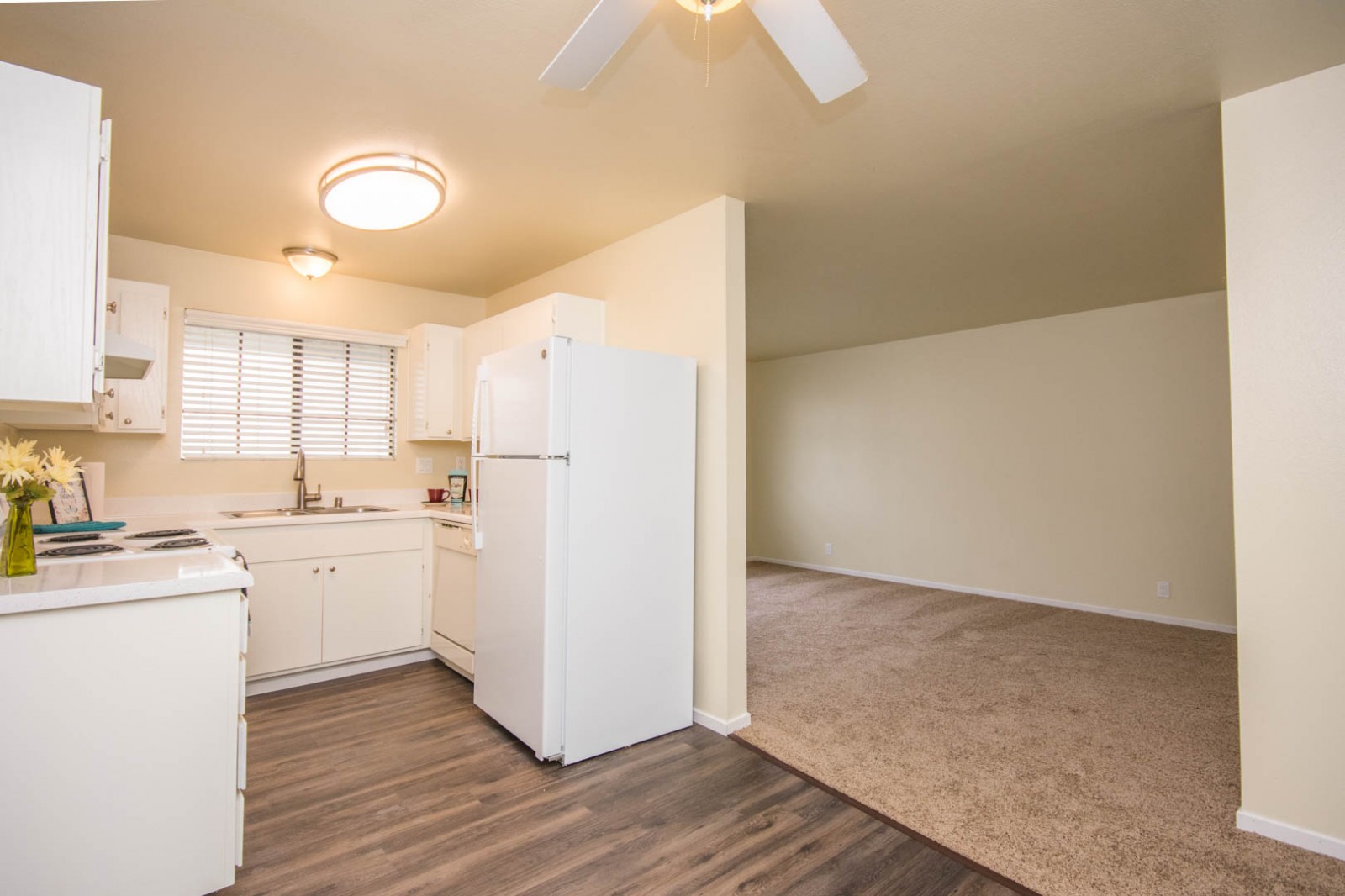 380-382 Acacia Avenue, Carlsbad, CA 92008 380-382 Acacia Avenue, Carlsbad, CA 92008