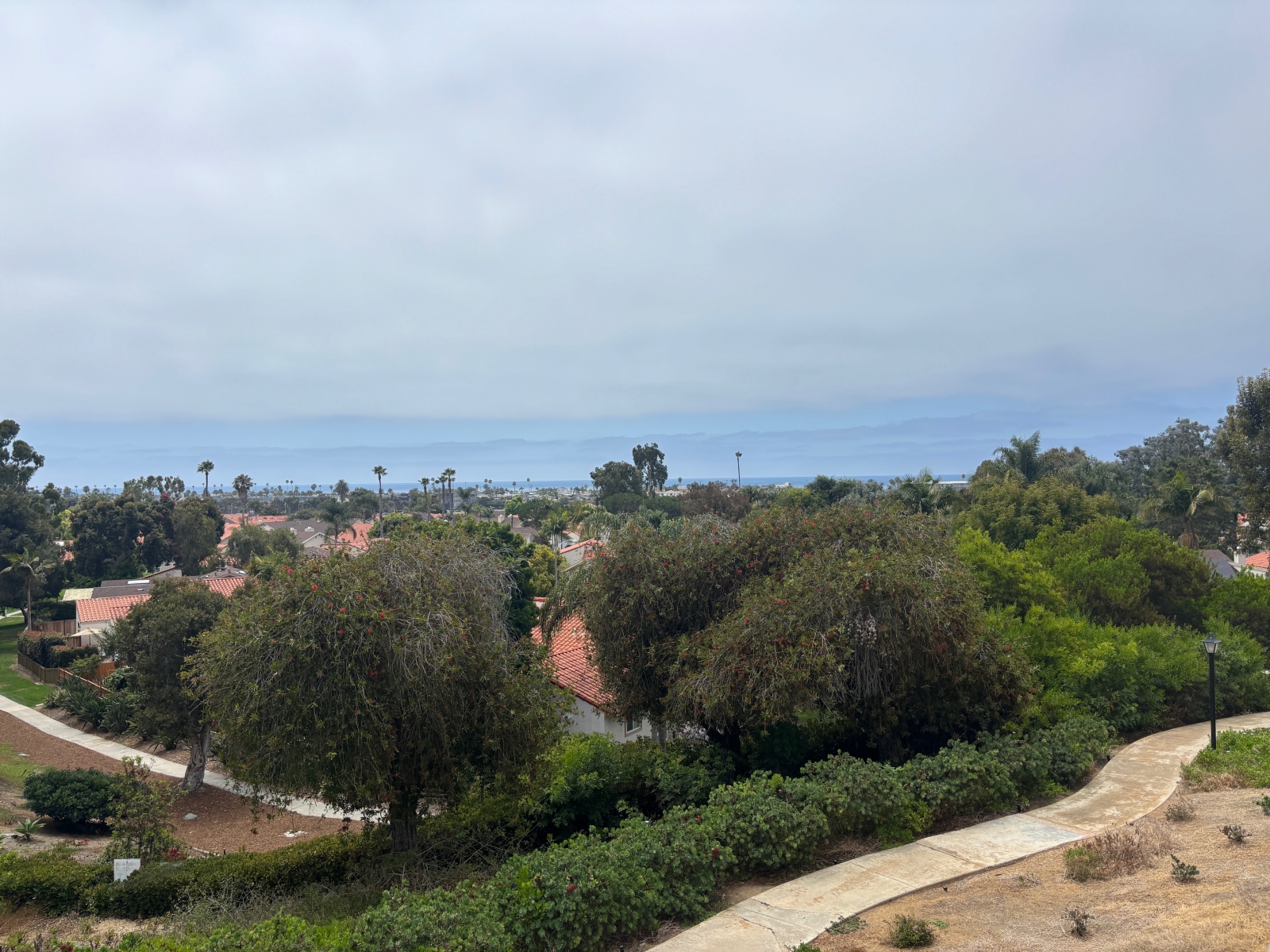 905 C CAMINITO MADRIGAL, CARLSBAD, CA 92011